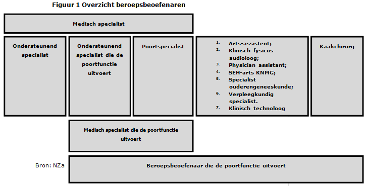 Overzicht beroepsbeoefenaren